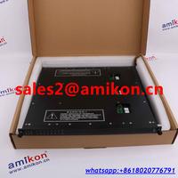 3401 TRICONEX DO 3401 Digital Output Module